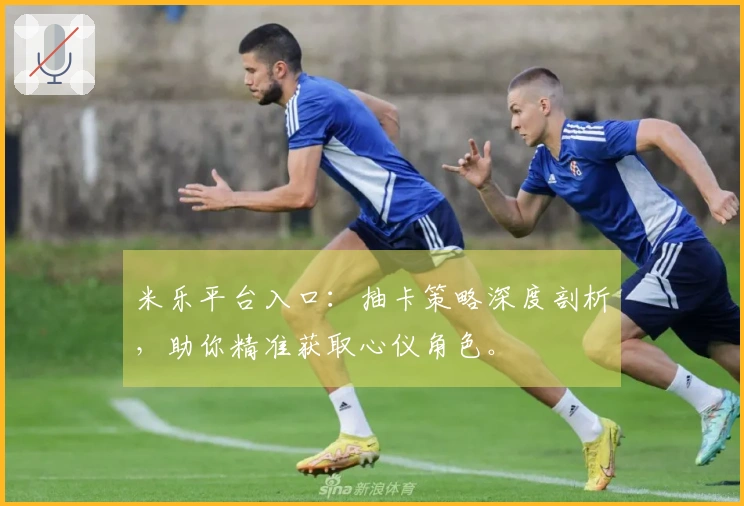 米乐平台入口：抽卡策略深度剖析，助你精准获取心仪角色。